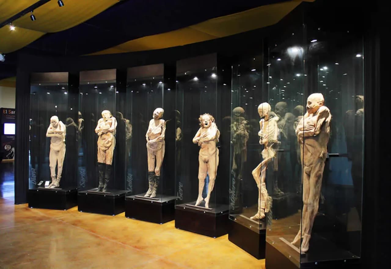 Museo de las Momias